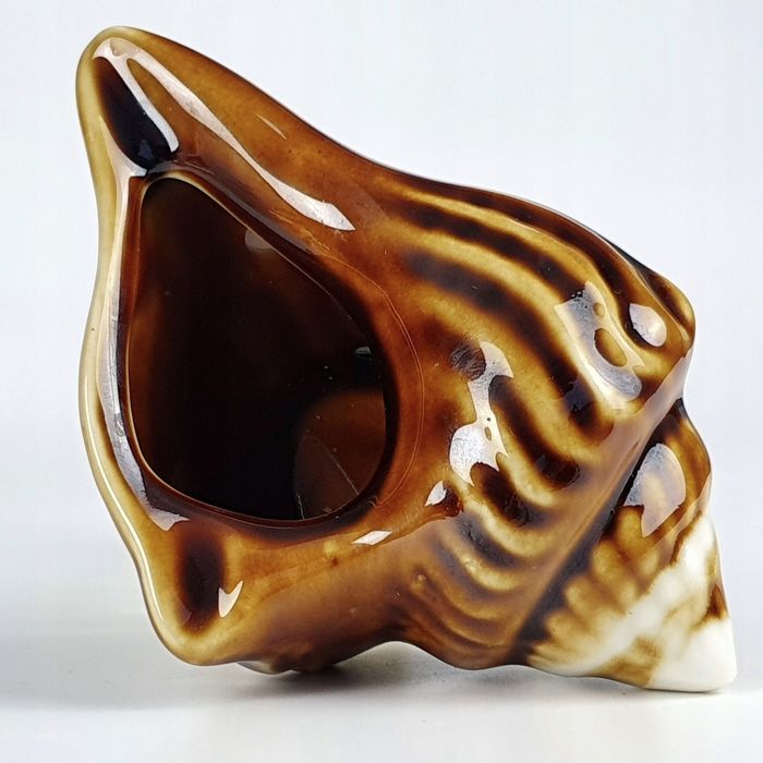 Muszla Piękna Chińska Popielniczka