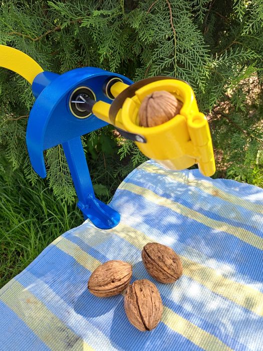 Горіхокол для волоського горіха