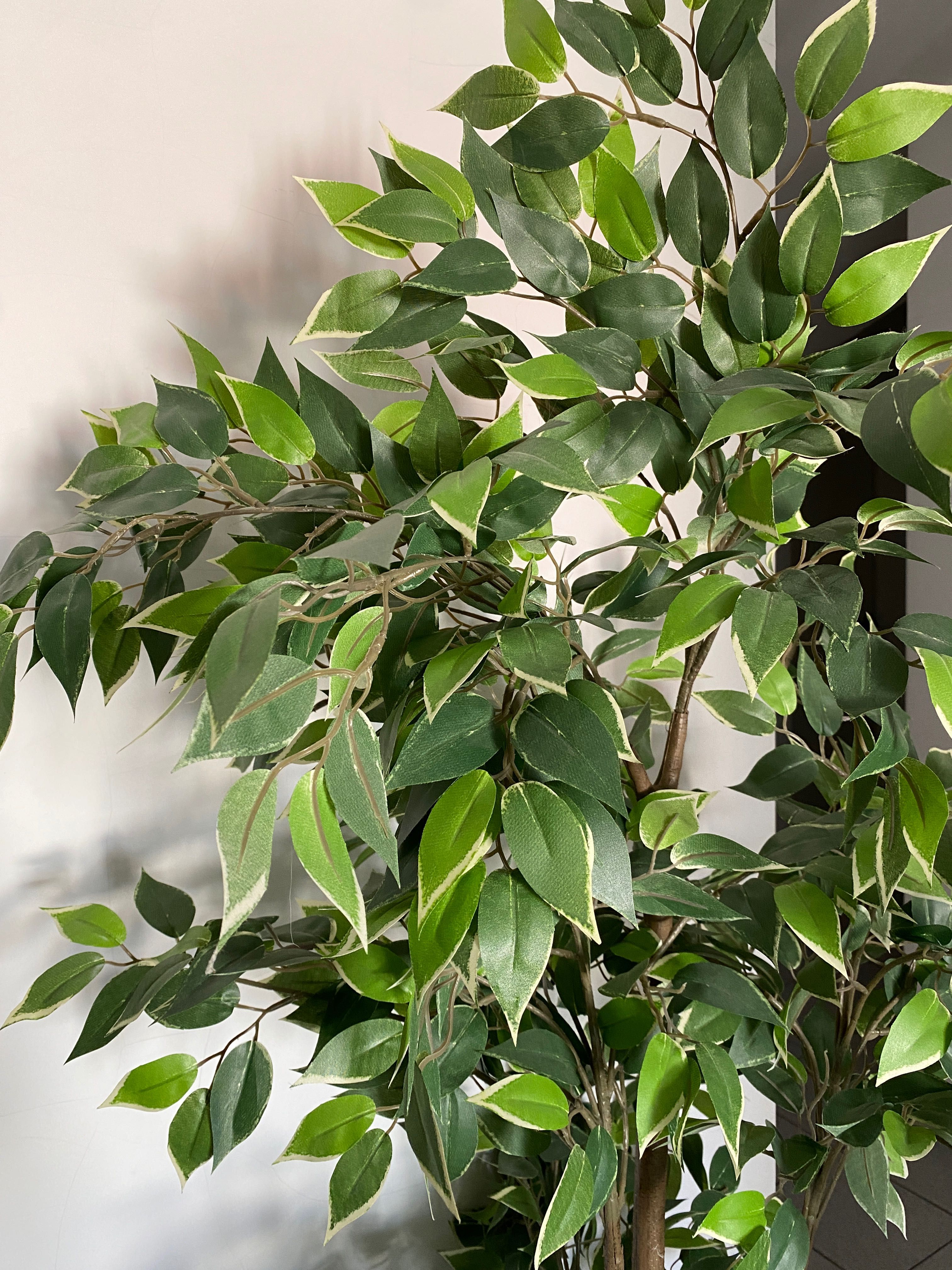 Plantas artificiais em excelente estado