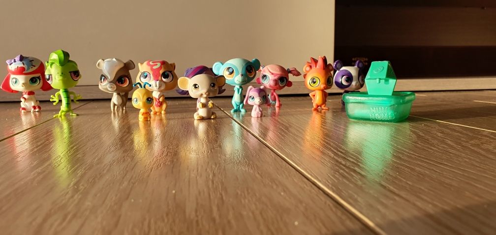 Littlest Pet Shop cały zestaw za 60 zika!