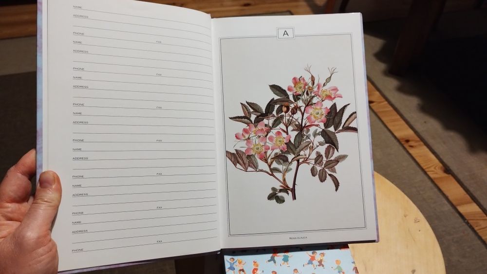 Grafika botaniczna roślinna 24 szt książka adresowa