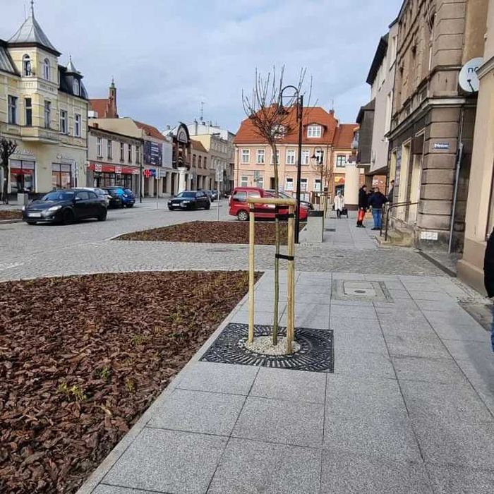 kratownica osłona krata ochronna 125x125 żeliwna baumrost