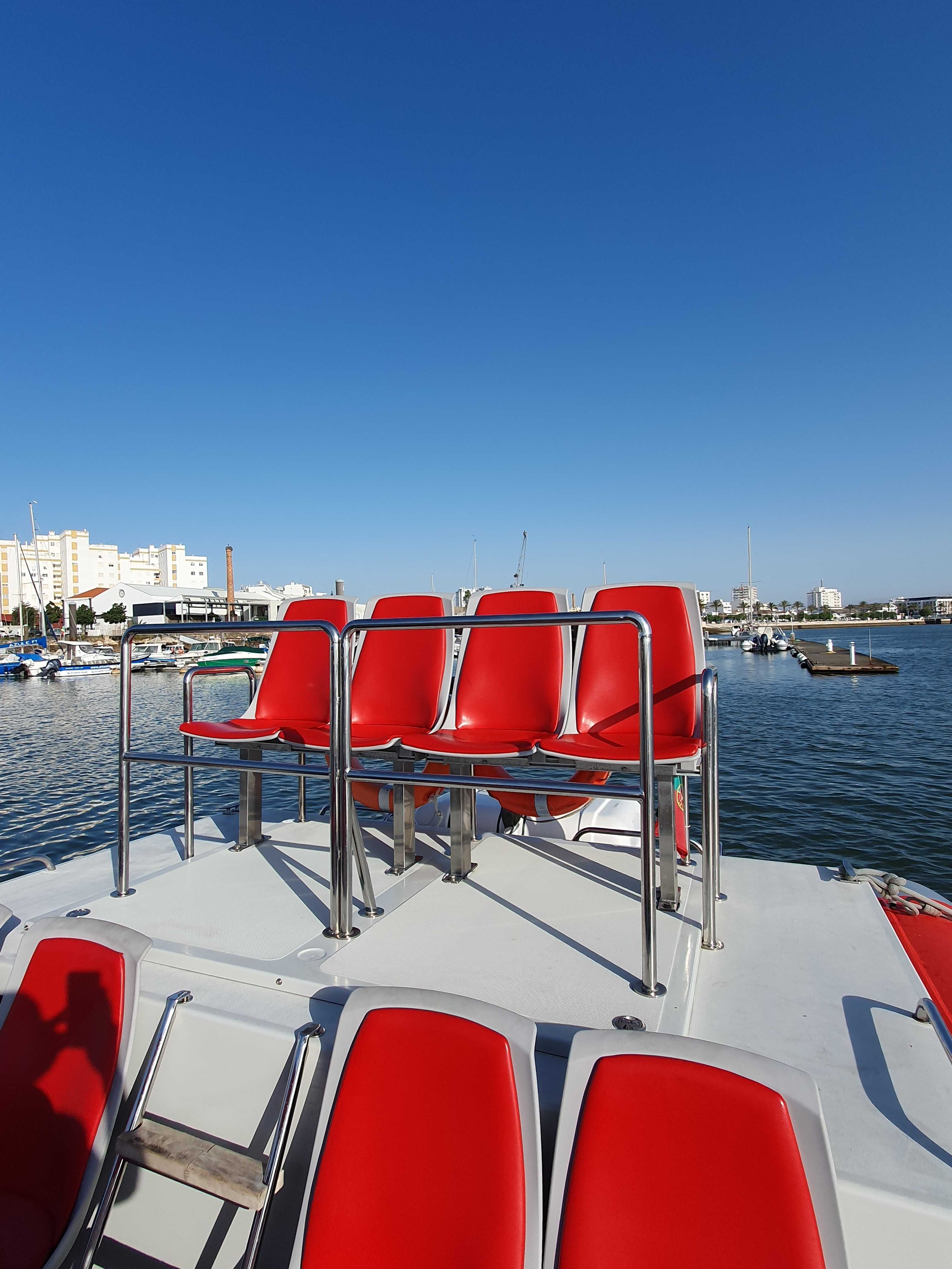 Master 9,98m – 30 Lugares com Licença Ativa para MT