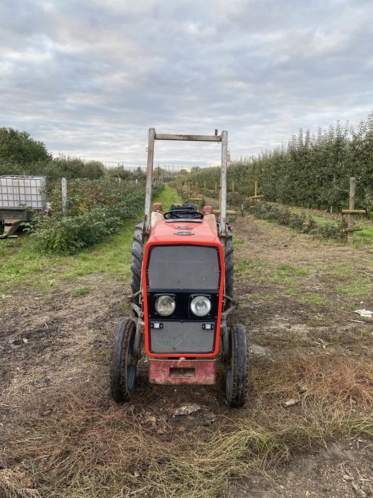 MASSEY FERGUSON MF 135V, sadowniczy od 90cm,140,145,158, 235,255,3502