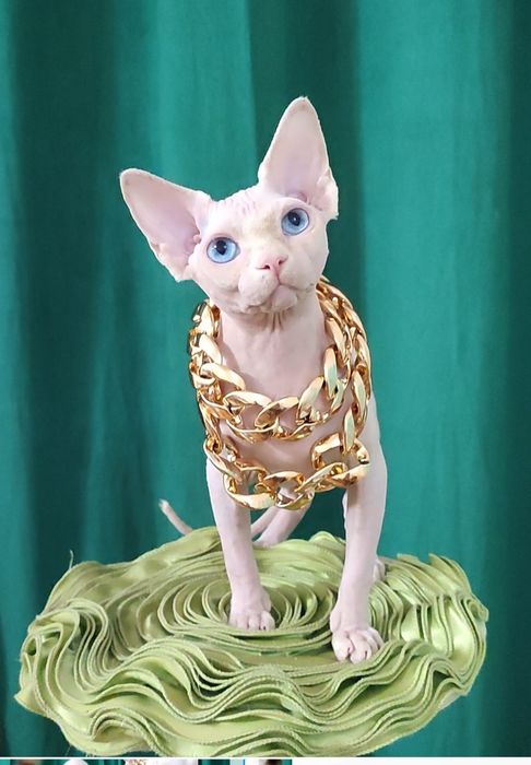 Голубоокий чудний хлопчик