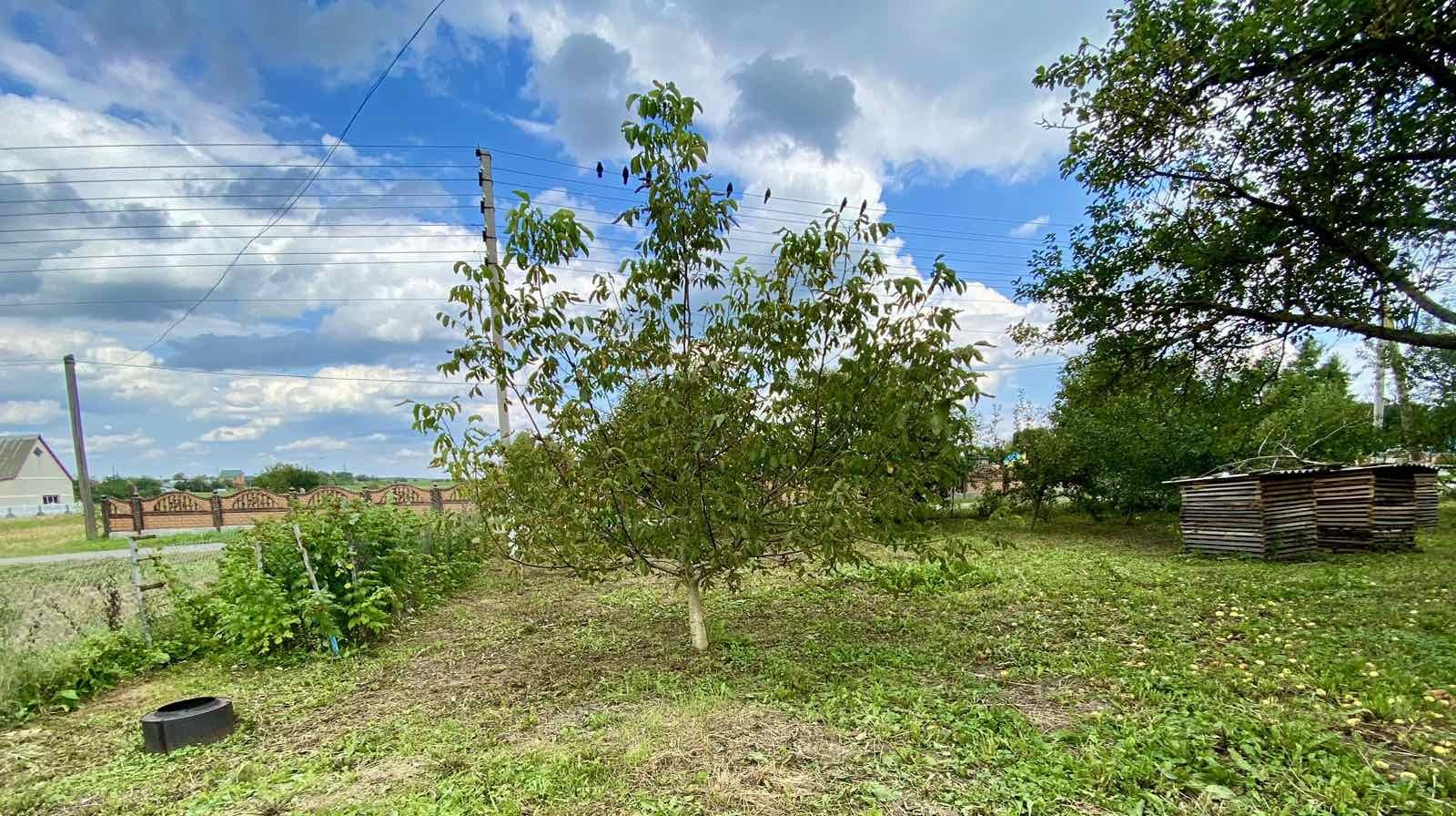 Продам будинок  с.Лішня Гоголя 29