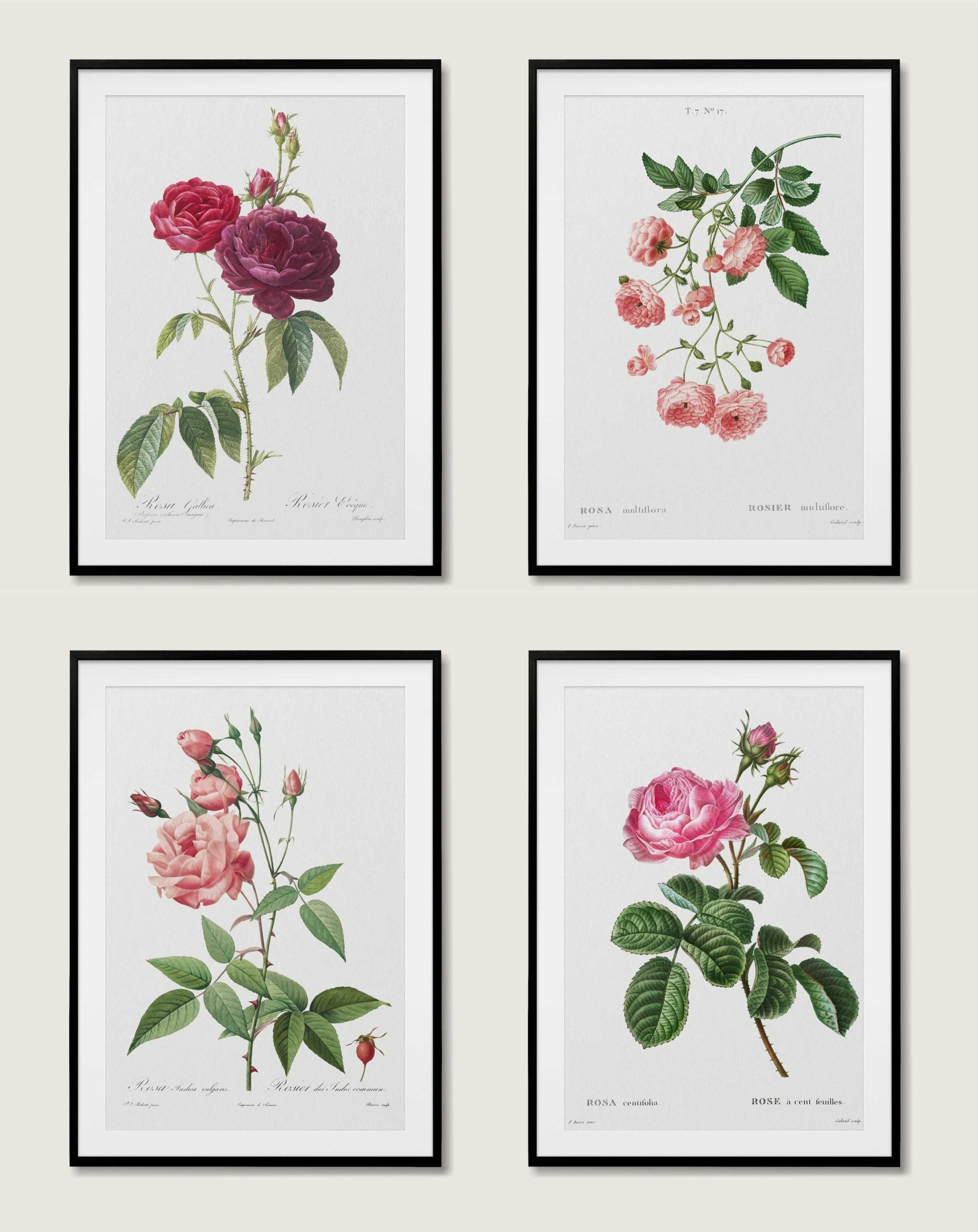 Plakat - 4szt RÓŻE Rośliny boho vintage botaniczne Walentynki