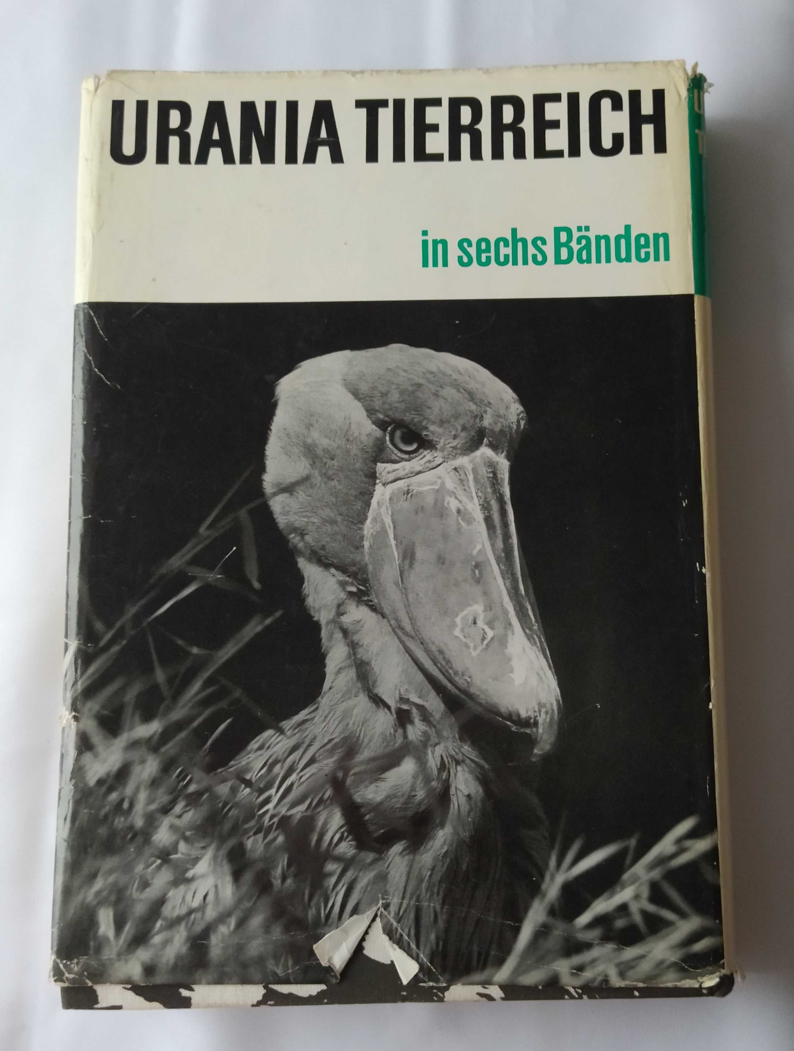 Urania tierreich Vögel