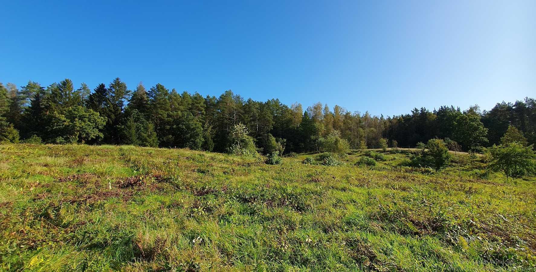 Działka budowlana LUBIATOWO o powierzchni 1065m2 położona przy lesie