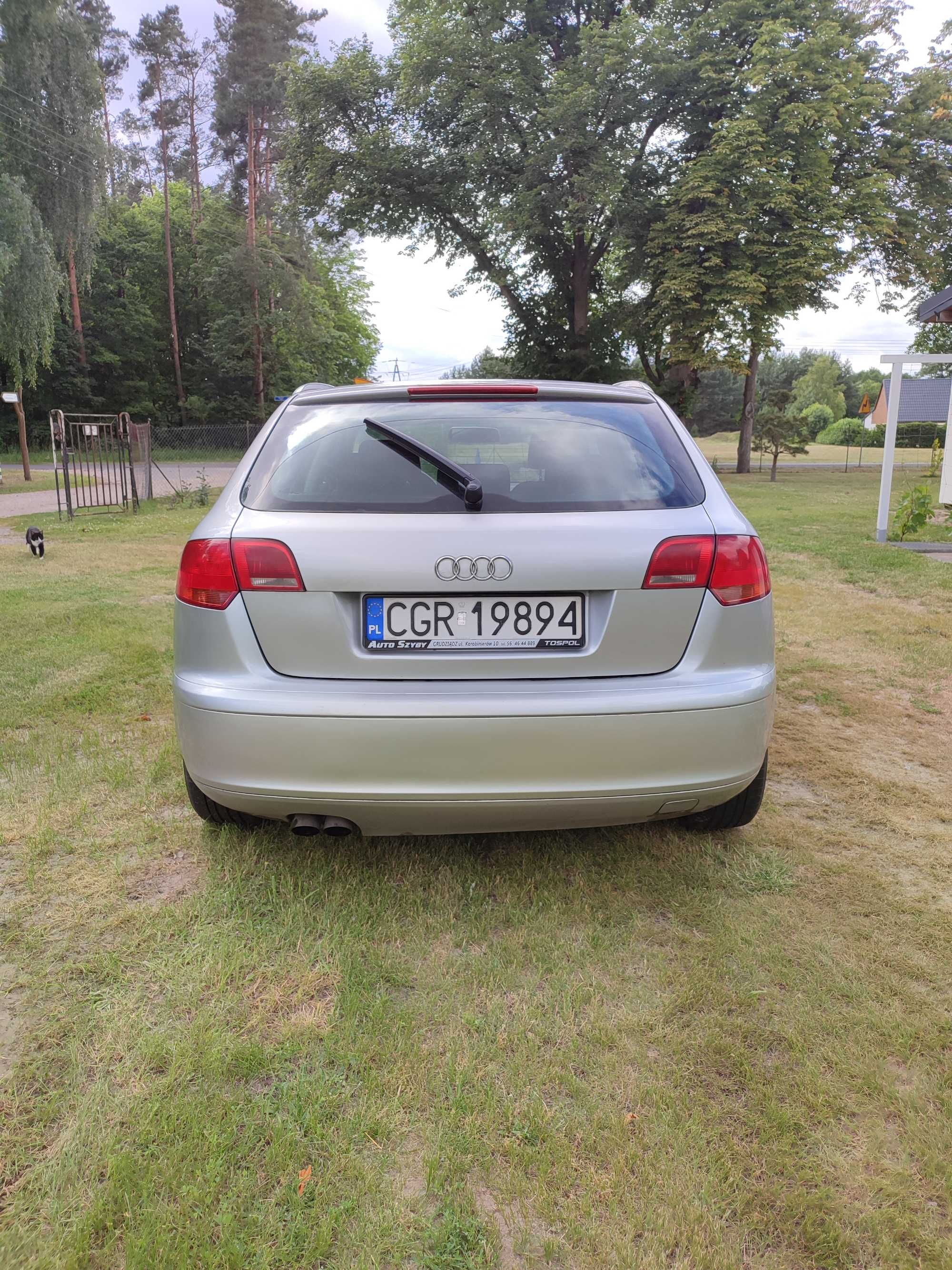 Audi A3 8P 1.9 tdi