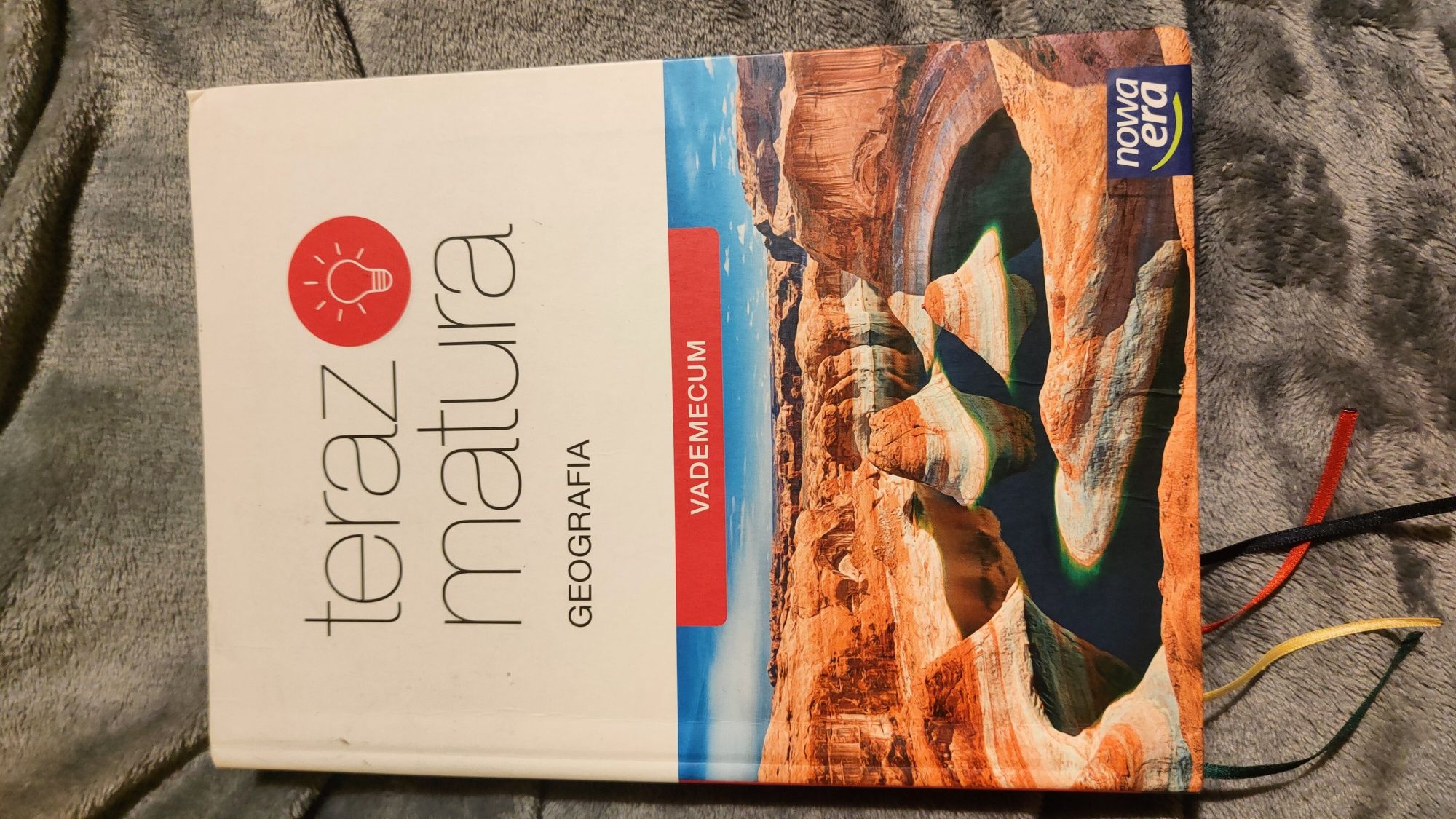 Teraz matura 2020. Geografia. Vademecum