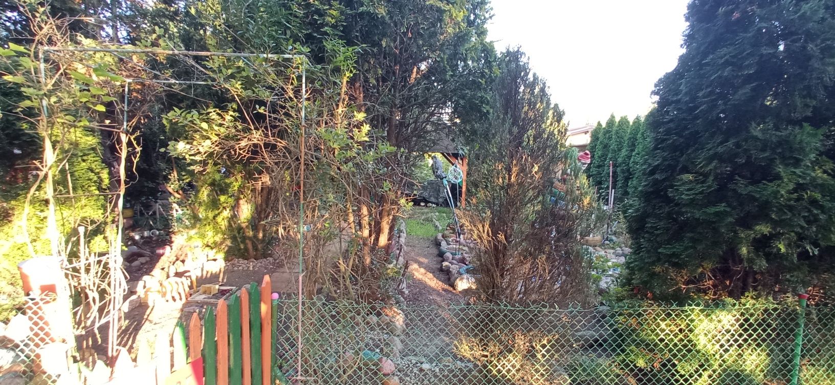 Działka ROD drewniany domek, altanka, prąd i woda