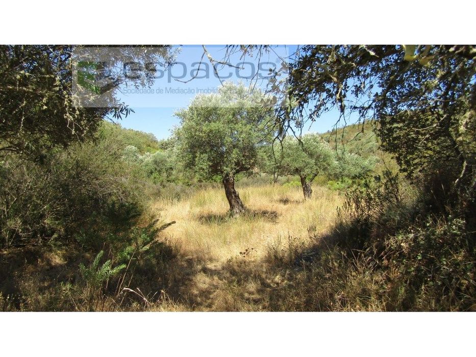 Quinta Rustica a confinar com um Ribeiro.