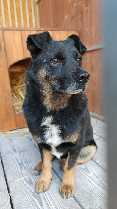 Czyja zguba? Sandomierz