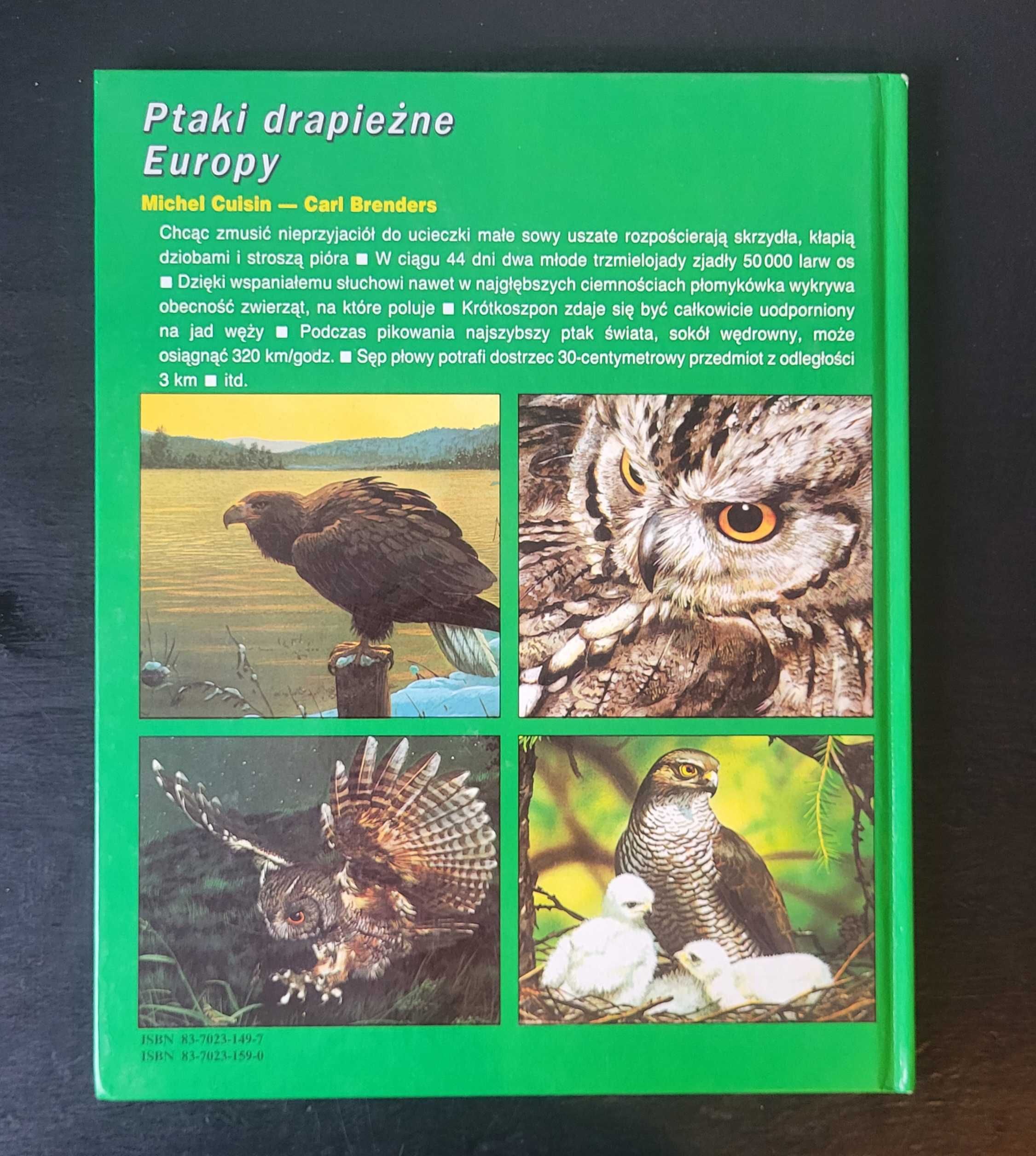 Tajemnice Zwierząt - Ptaki drapieżne Europy