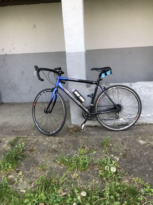 Rower szosowy CARRERA 165-75 cm