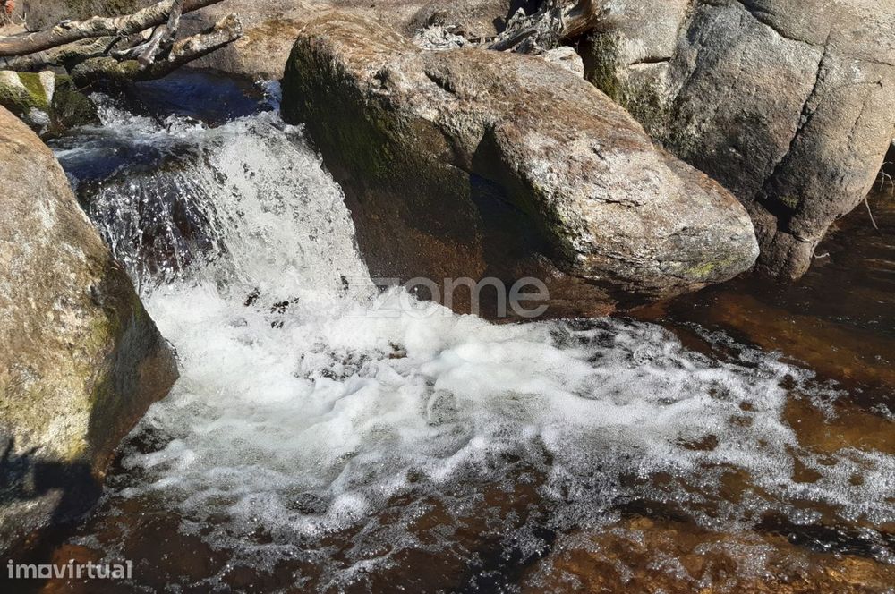 Quinta Junto ao rio Mondego