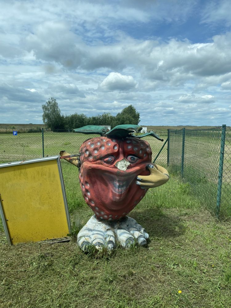 Reklama truskawka