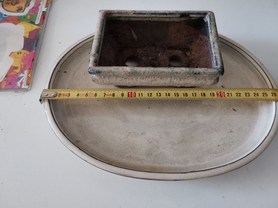 Vaso e prato para Bonsai