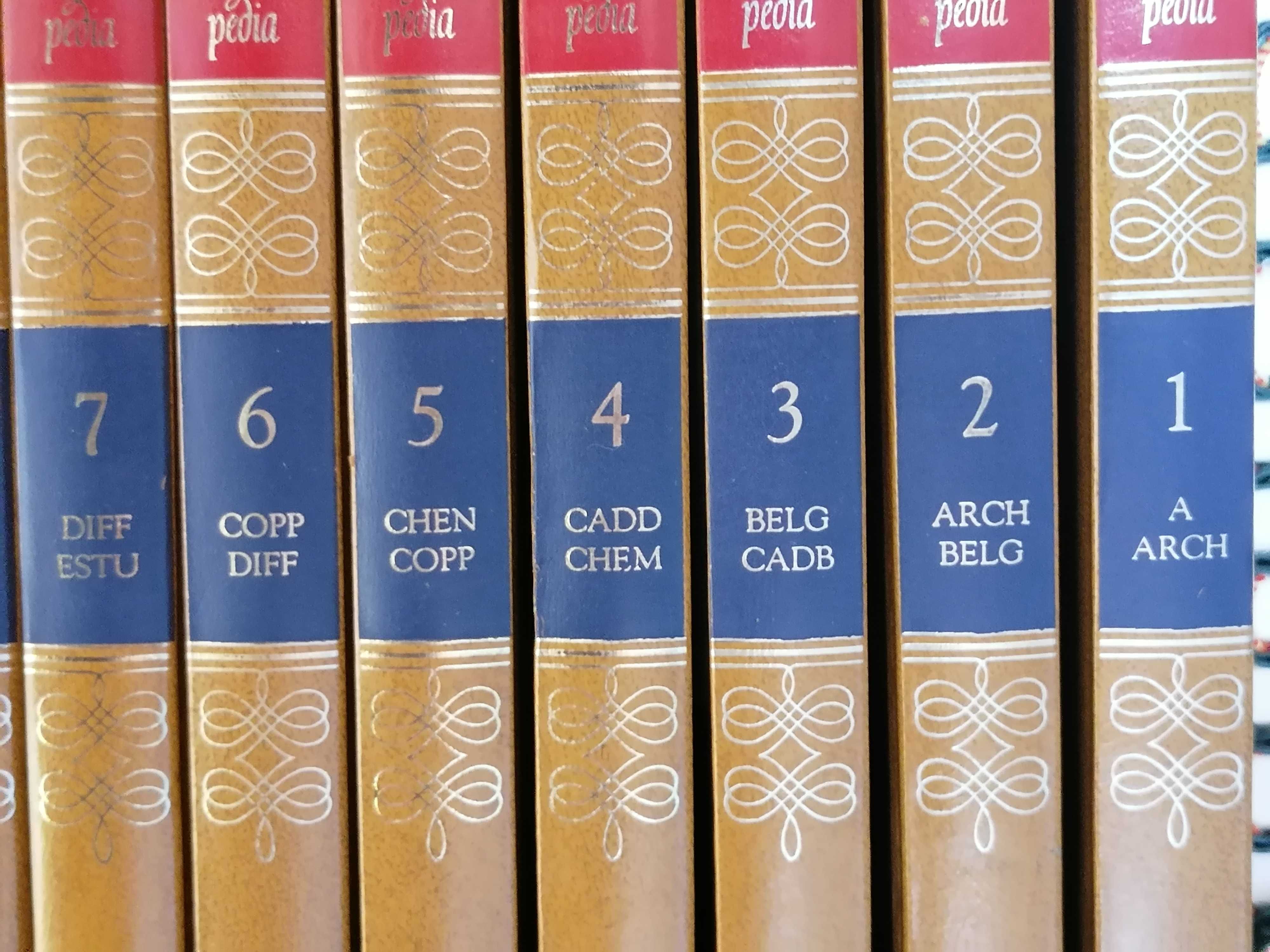 Coleção livros The New Caxton Encyclopedia - 20 volumes