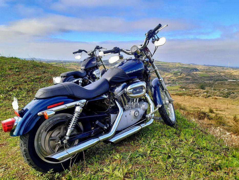 Harley Davidson sportster xl custom