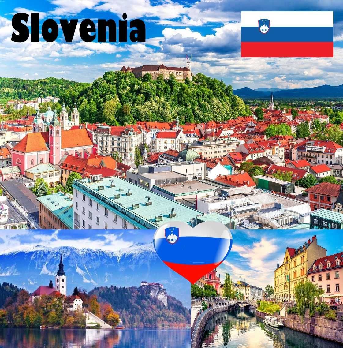 Magnes na lodówkę Słowenia Ljubljana