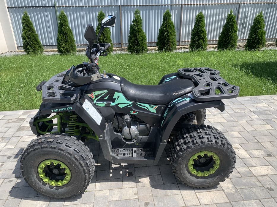 Forte shark 125 II