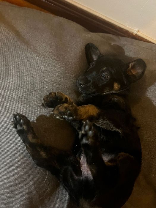 Para doação responsável