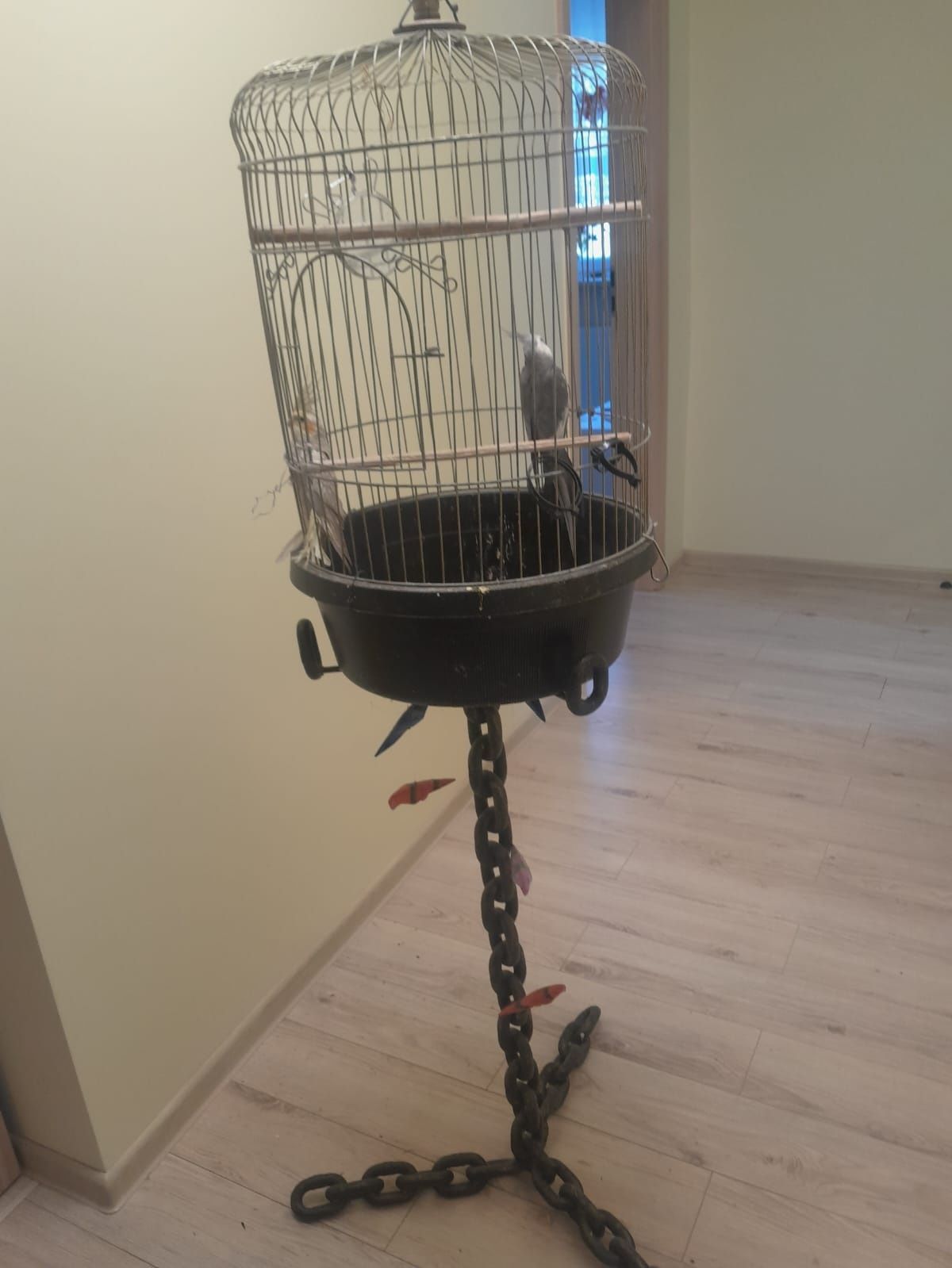 Klatka dla papug, dla ptaków metalowa duża, ptaki, papugi