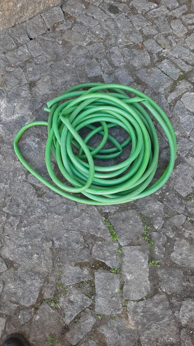 Mangueira em boas condições