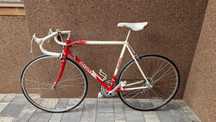 Szosa Kolarka Giant Peleton