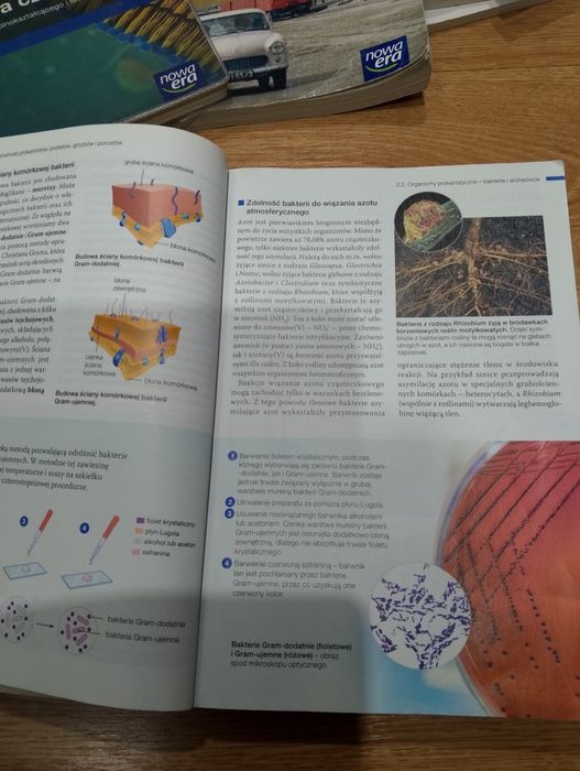 Podręcznik do biologii zakres rozszerzony klasa 2