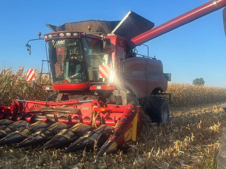 Kompleksowa usługa koszenia kukurydzy