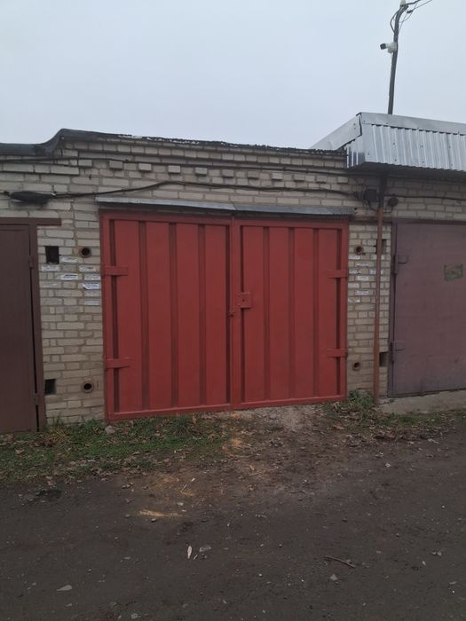 Гараж / Атлант /Срібні лелеки