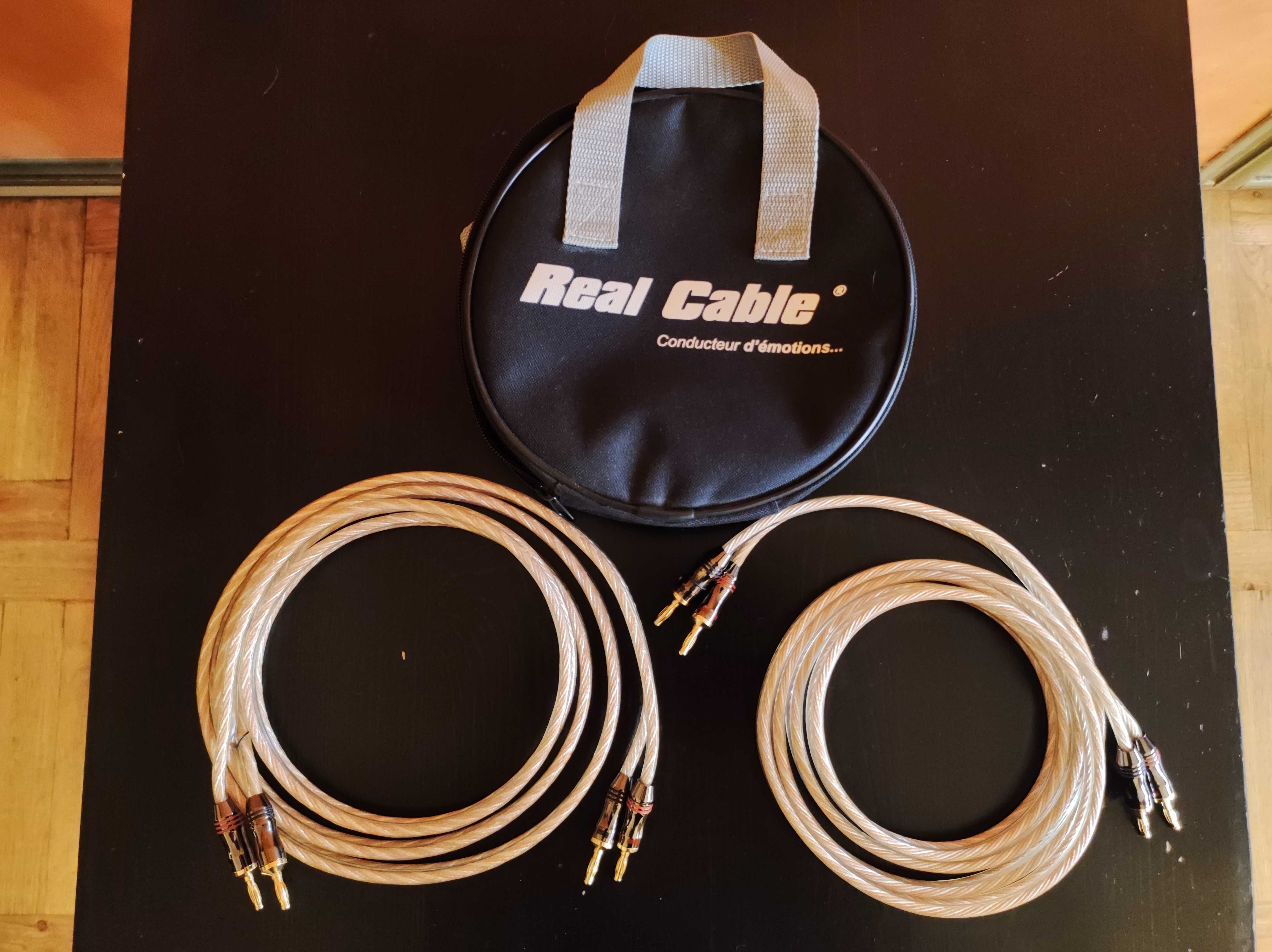 Kolumny głośnikowe PSB Speakers Alpha T20, stan idealny, kable.