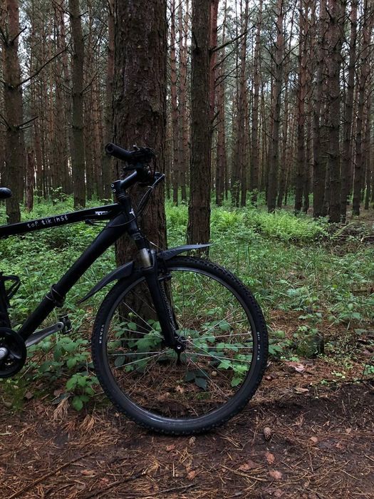 Велосипед горний