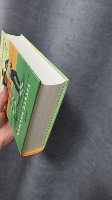 Стіна Вінніпеґа і я