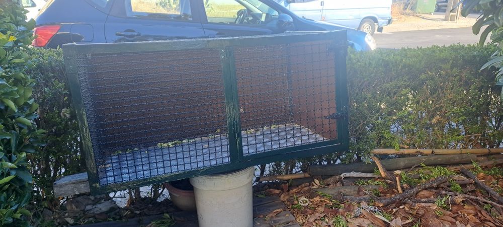 Caixa para transporte de cães
