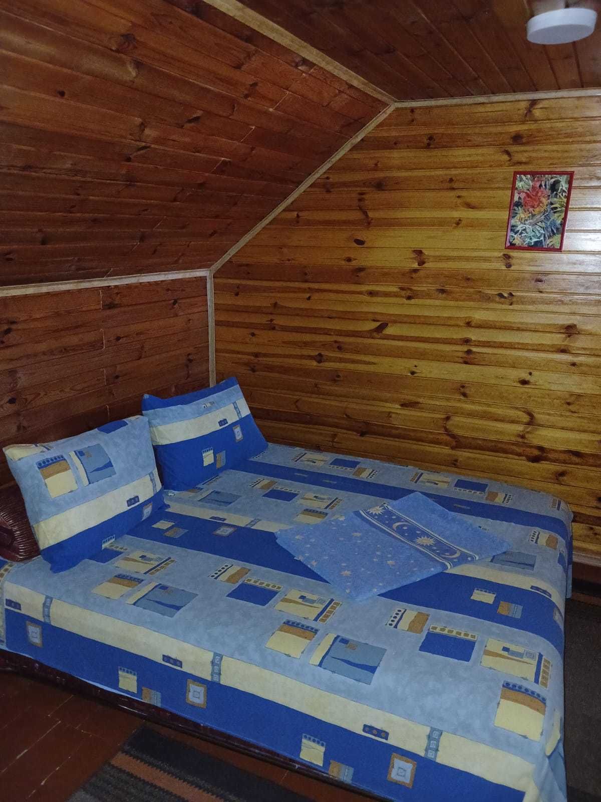 Будинок-дача на березі озера в с.Дийда Берегівського району під бізнес