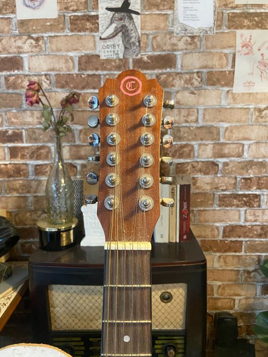 Gitara akustyczna dwunastostrunowa