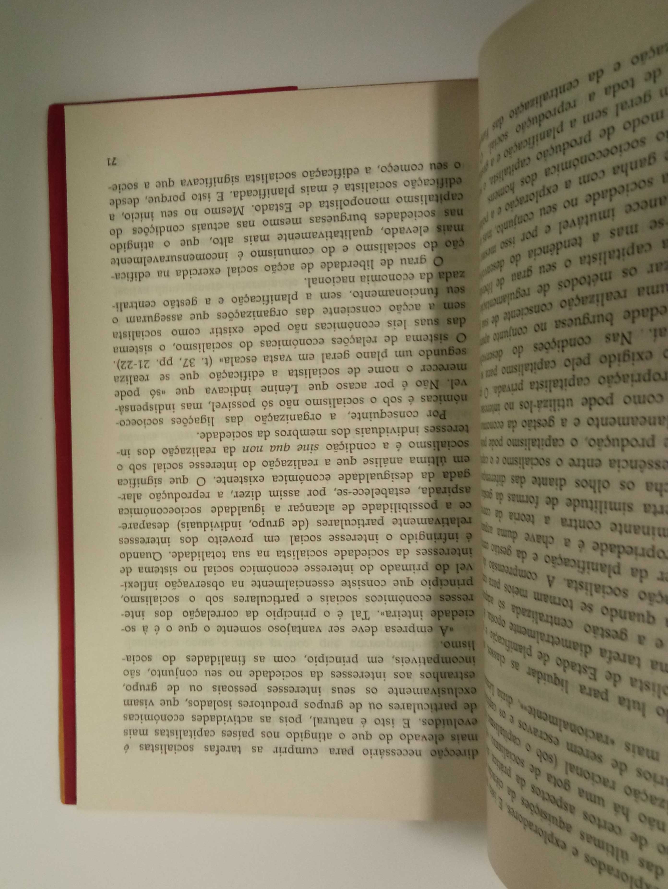 A Economia como questão política, de B. Rakitski