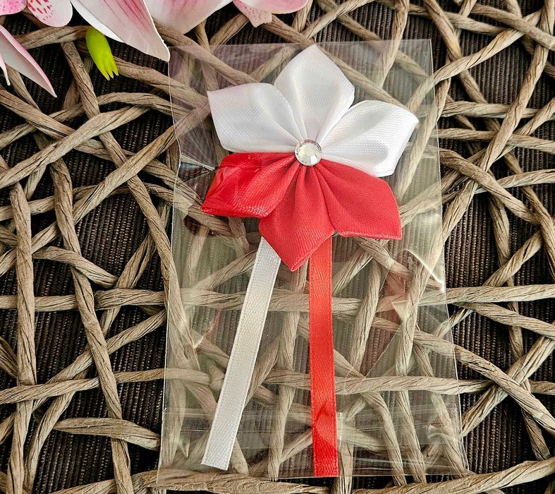 Kotyliony narodowe kwiatek patriotyczne flaga przypinki 11 listopada