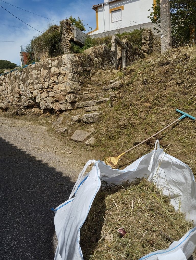 Limpeza de terrenos