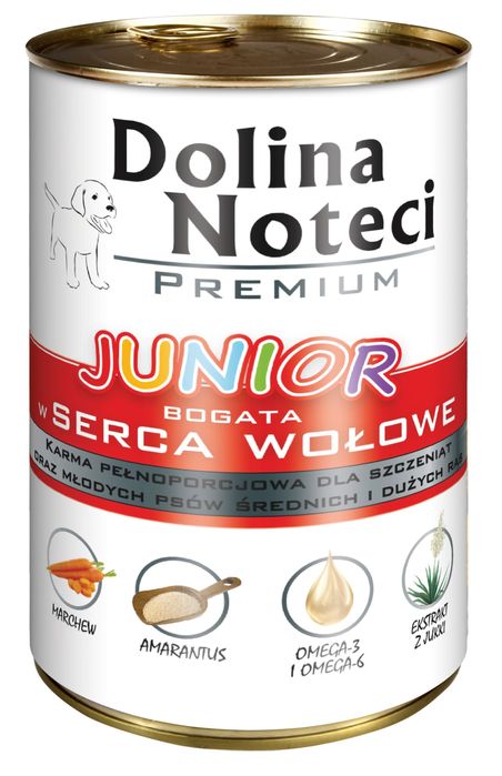 Dolina Noteci dla szczeniaka