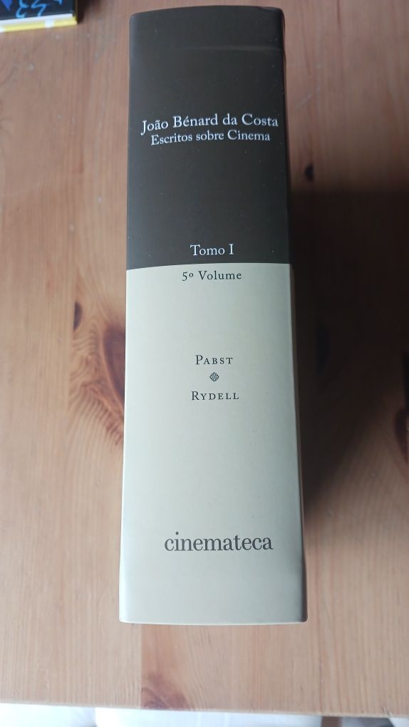 Escritos sobre cinema João Bernardo da Costa