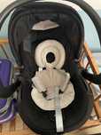 Baby coque Chicco