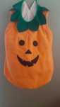 strój dyni na halloween