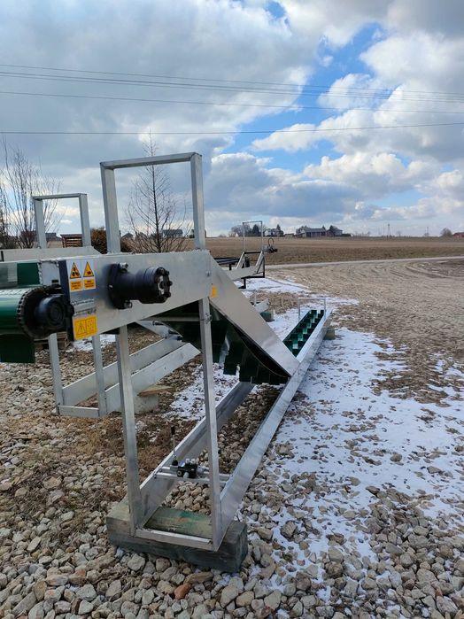 taśmociąg / podajnik / transporter / platforma / do zbioru warzyw