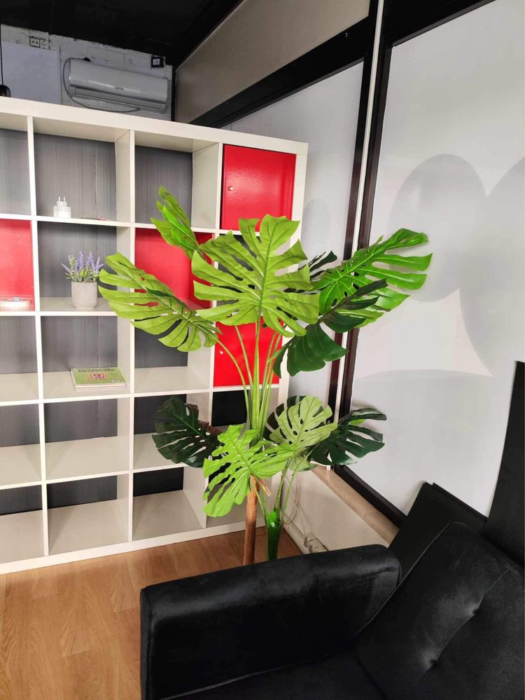 Costela de adao artificiais lindissimas para decoracoes com entrega