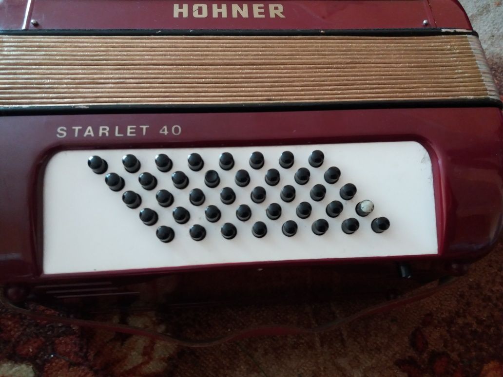 Akordeon Hohner Starlet 40 basów